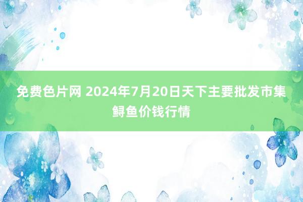 免费色片网 2024年7月20日天下主要批发市集鲟鱼价钱行情