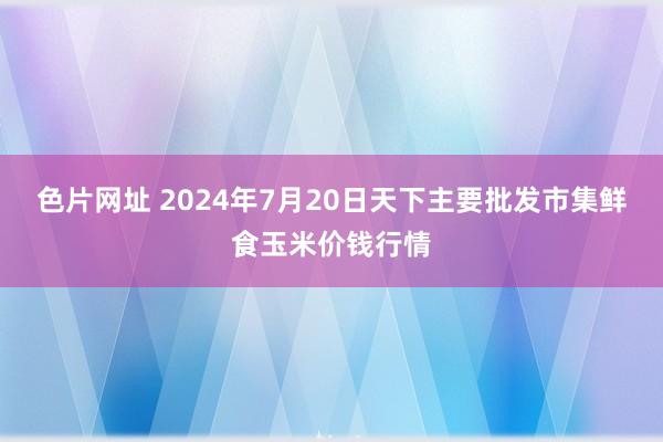 色片网址 2024年7月20日天下主要批发市集鲜食玉米价钱行情