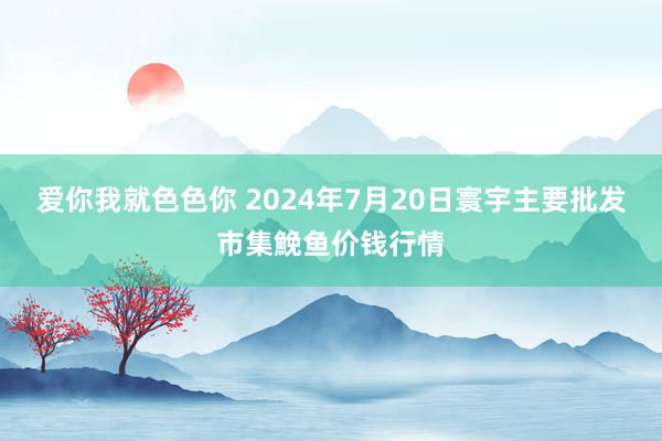 爱你我就色色你 2024年7月20日寰宇主要批发市集鮸鱼价钱行情