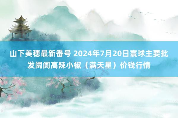 山下美穂最新番号 2024年7月20日寰球主要批发阛阓高辣小椒（满天星）价钱行情