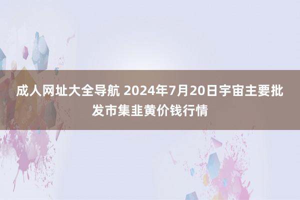 成人网址大全导航 2024年7月20日宇宙主要批发市集韭黄价钱行情