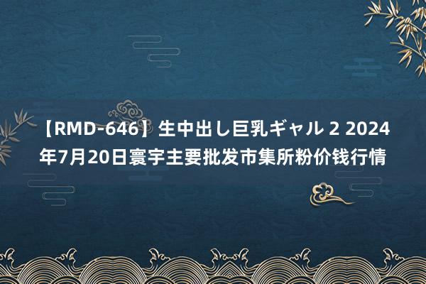 【RMD-646】生中出し巨乳ギャル 2 2024年7月20日寰宇主要批发市集所粉价钱行情