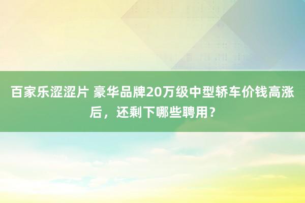 百家乐涩涩片 豪华品牌20万级中型轿车价钱高涨后，还剩下哪些聘用？