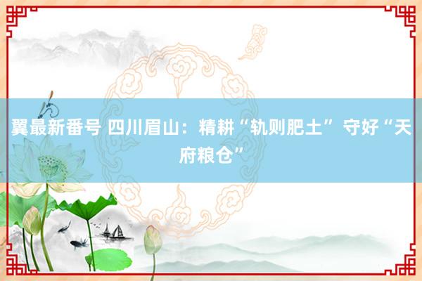 翼最新番号 四川眉山：精耕“轨则肥土” 守好“天府粮仓”