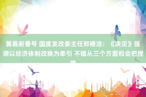 翼最新番号 国度发改委主任郑栅洁：《决定》强调以经济体制改换为牵引 不错从三个方面和会把捏