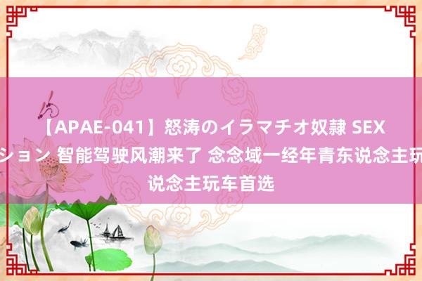 【APAE-041】怒涛のイラマチオ奴隷 SEXコレクション 智能驾驶风潮来了 念念域一经年青东说念主玩车首选