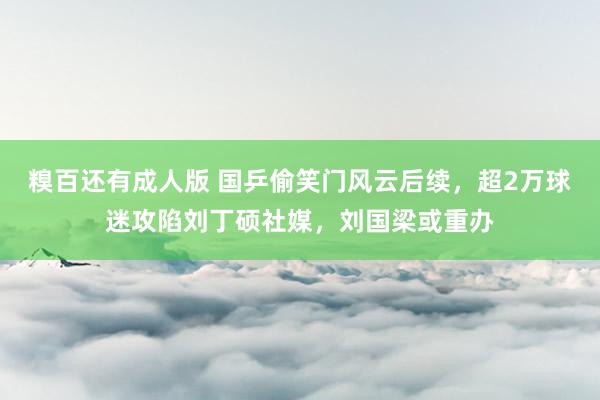 糗百还有成人版 国乒偷笑门风云后续，超2万球迷攻陷刘丁硕社媒，刘国梁或重办