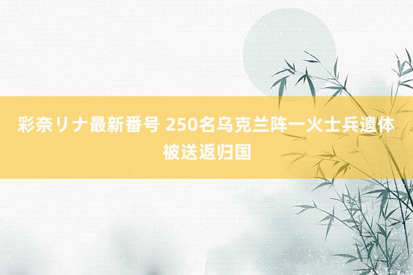 彩奈リナ最新番号 250名乌克兰阵一火士兵遗体被送返归国