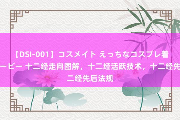 【DSI-001】コスメイト えっちなコスプレ着エロムービー 十二经走向图解，十二经活跃技术，十二经先后法规