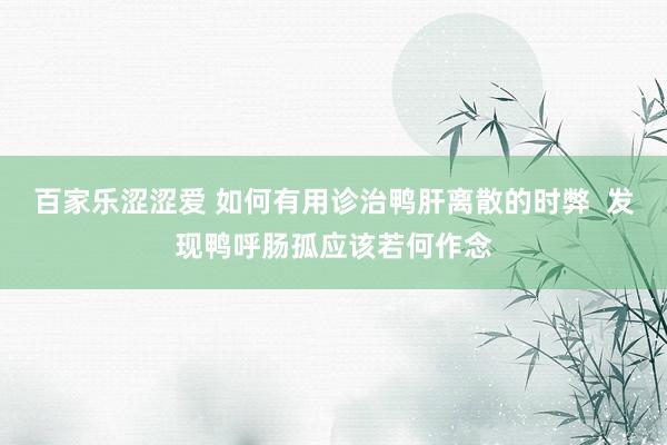 百家乐涩涩爱 如何有用诊治鸭肝离散的时弊  发现鸭呼肠孤应该若何作念