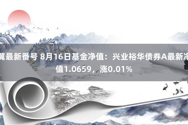 翼最新番号 8月16日基金净值：兴业裕华债券A最新净值1.0659，涨0.01%