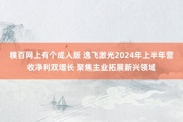 糗百网上有个成人版 逸飞激光2024年上半年营收净利双增长 聚焦主业拓展新兴领域