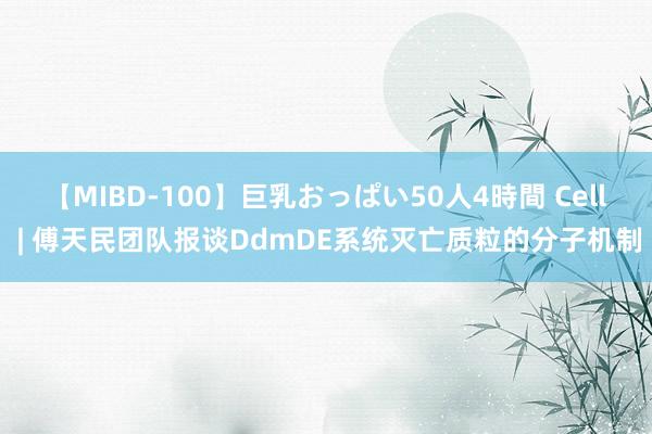 【MIBD-100】巨乳おっぱい50人4時間 Cell | 傅天民团队报谈DdmDE系统灭亡质粒的分子机制