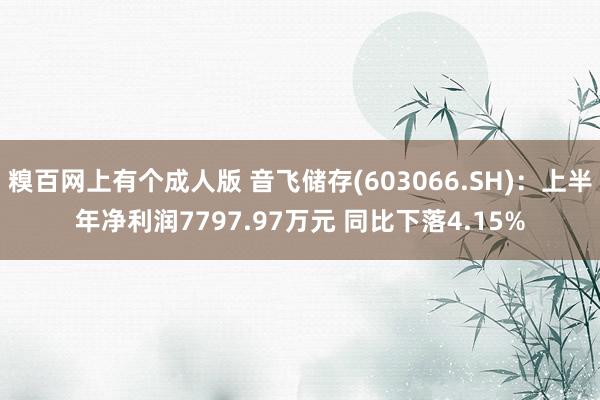 糗百网上有个成人版 音飞储存(603066.SH)：上半年净利润7797.97万元 同比下落4.15%