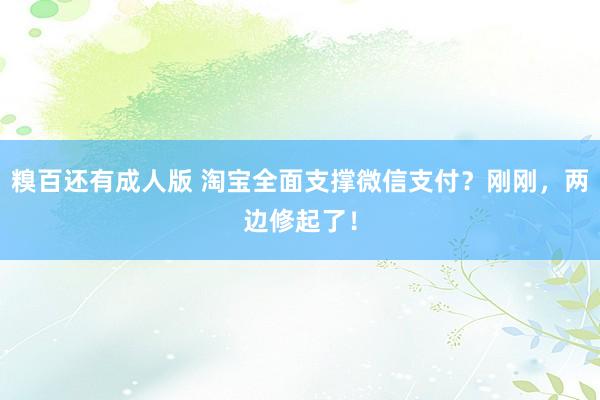 糗百还有成人版 淘宝全面支撑微信支付？刚刚，两边修起了！