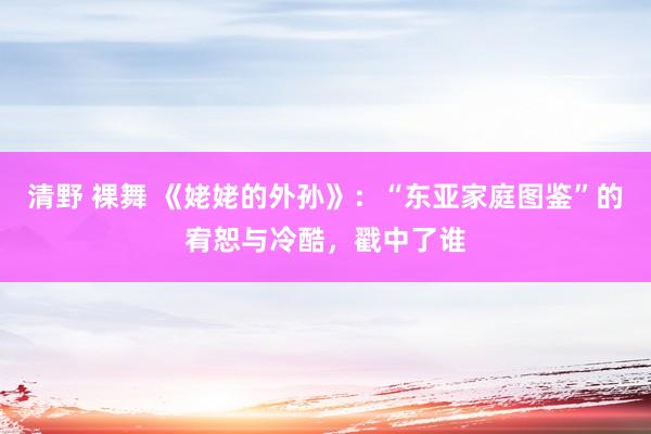 清野 裸舞 《姥姥的外孙》：“东亚家庭图鉴”的宥恕与冷酷，戳中了谁