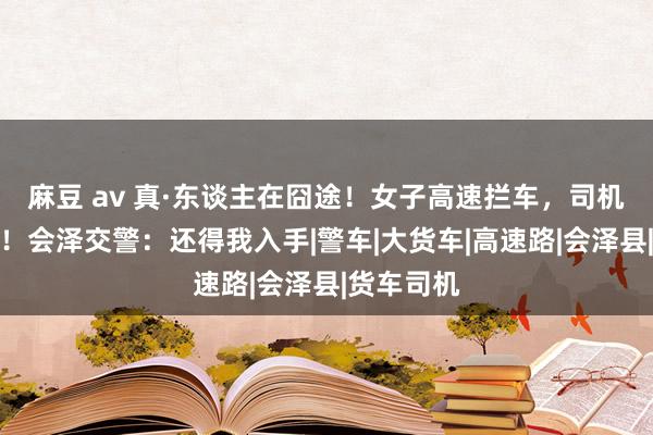 麻豆 av 真·东谈主在囧途！女子高速拦车，司机报警寻妻！会泽交警：还得我入手|警车|大货车|高速路|会泽县|货车司机