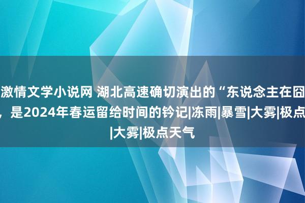 激情文学小说网 湖北高速确切演出的“东说念主在囧途”，是2024年春运留给时间的钤记|冻雨|暴雪|大雾|极点天气