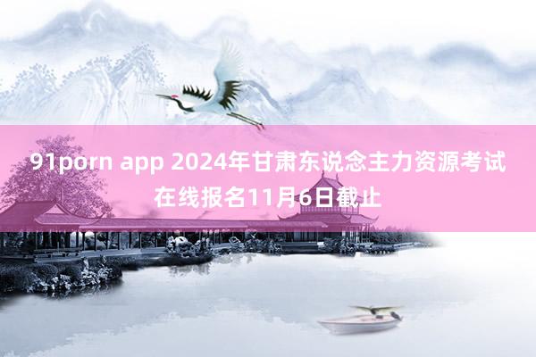 91porn app 2024年甘肃东说念主力资源考试在线报名11月6日截止